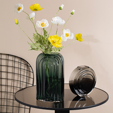 Load image into Gallery viewer, Glass vases Articture - modern design
